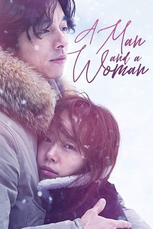 A Man and A Woman (2016) Hindi Dual Audio | Hindi Dubbed Movie BluRay [950MB]