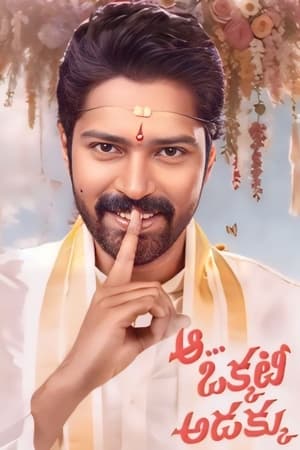 Aa Okkati Adakku 2024 Telugu CAMRip | Hindi Dubbed Movie